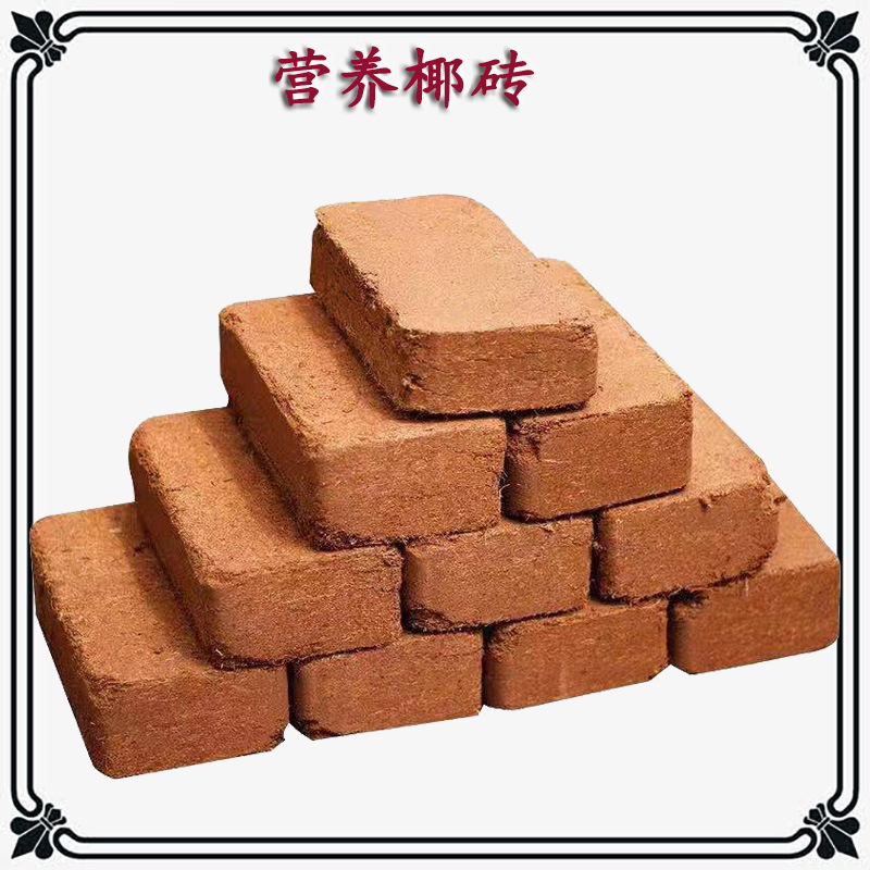 椰砖批发650g养花种菜用栽培基质家用椰砖4.5公斤花卉通用大椰砖