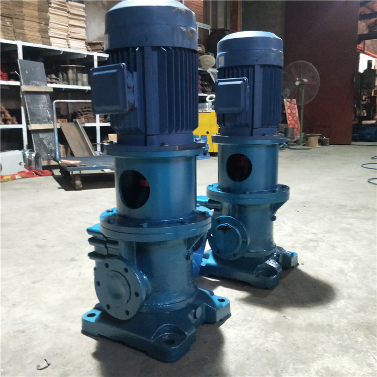 3gcl50x2w2 立式螺杆泵润滑油泵燃油泵大流量立式双吸泵