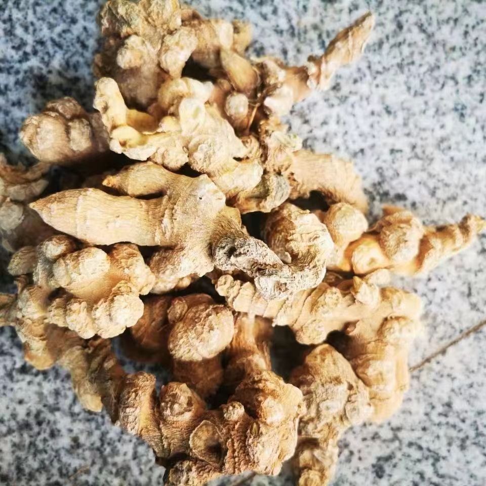 精选竹节参血参 甜七竹节三七 野三七竹节人参 散装500克