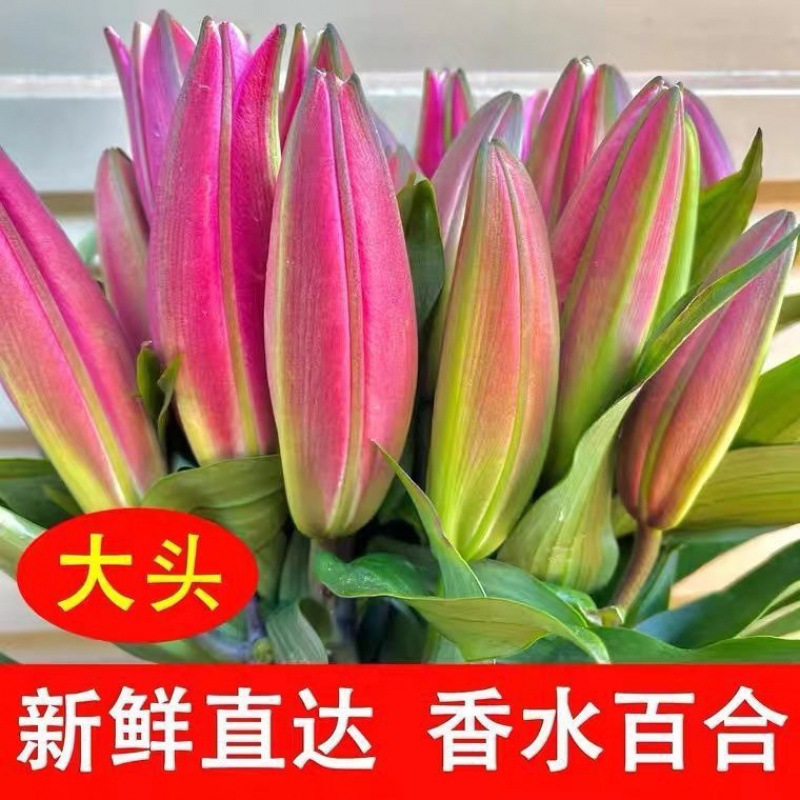 基地直发多头百合花云南香水百合花鲜花花束水养鲜切花批发家用