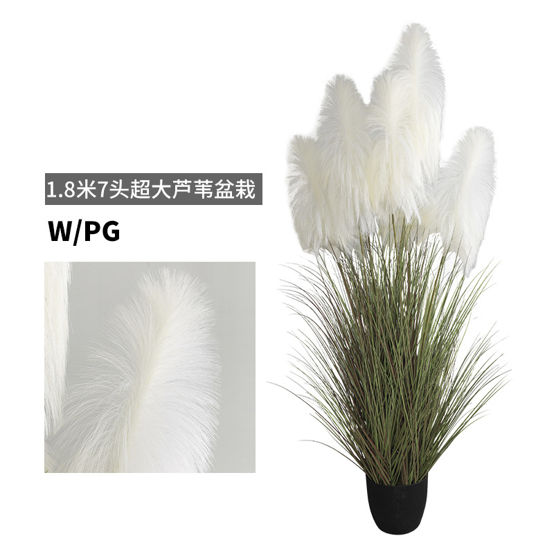 Studio Photography Props Simulation Onion Grass Potted Plant Living Room Home Ornaments Simulation 1.8 M 7-Head Reed Bonsai