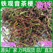 新货铁观音茶梗 茶叶梗 供应地摊展销会茶梗 除味枕头填充大货批