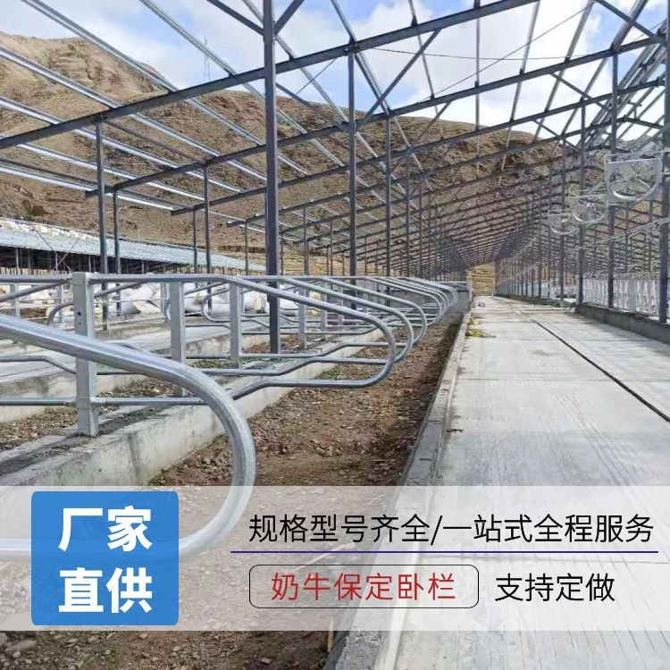 奶牛场保定卧栏 郑州恒力双面热镀锌牛卧栏尺寸 牛卧床休息定位栏