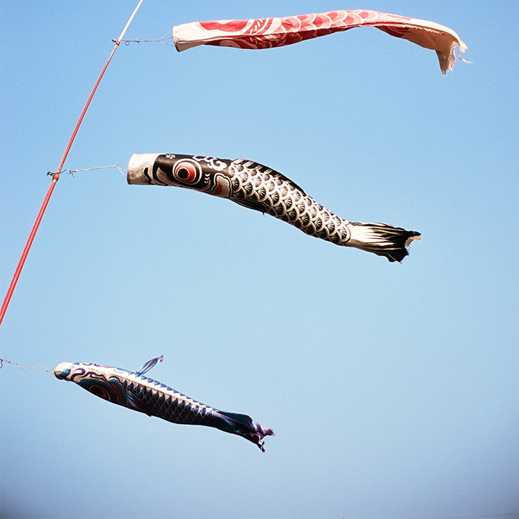 跨境供应日本和风鲤鱼旗 鲤鱼幡导游旗 日式鲤鱼旗装饰旗工厂直销