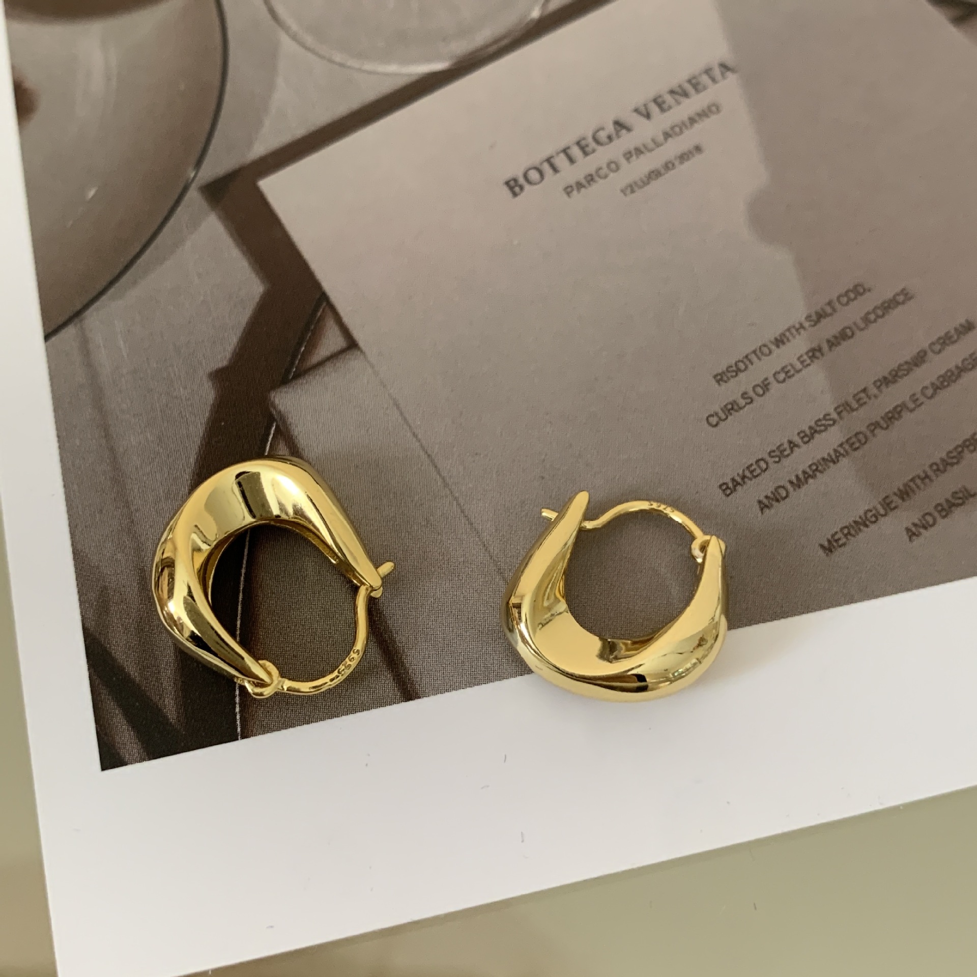 Simple Style Niche Design Metal Hoop Earrings 2023 New Popular Temperament Wild High-Grade Earrings for Women