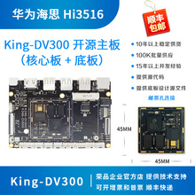 海思hi3516dv300开发板 hi3516dv300核心板 双目 荣品King-DV300