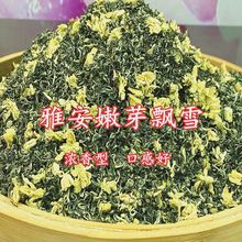 2021新茶茉莉飘雪浓香型特级茉莉花茶叶四川花茶毛峰罐装250