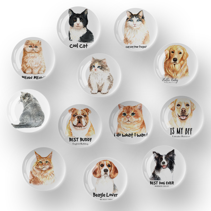 Factory Direct Sales Cat Crystal Refrigerator Sticker and Magnet Sticker Refrigerator Decoration Magnet Internet Celebrity Nordic Magnetic Stickers
