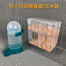鸽子用品用具鹌鹑防撒食槽芦丁鸡肉鸽自动喂食器饮水器鸽子笼食盒