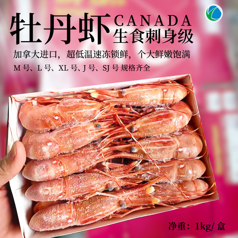 加拿大牡丹虾 鲜活冷冻 刺身 日料 斑点虾bc虾规格全现货冷链发货