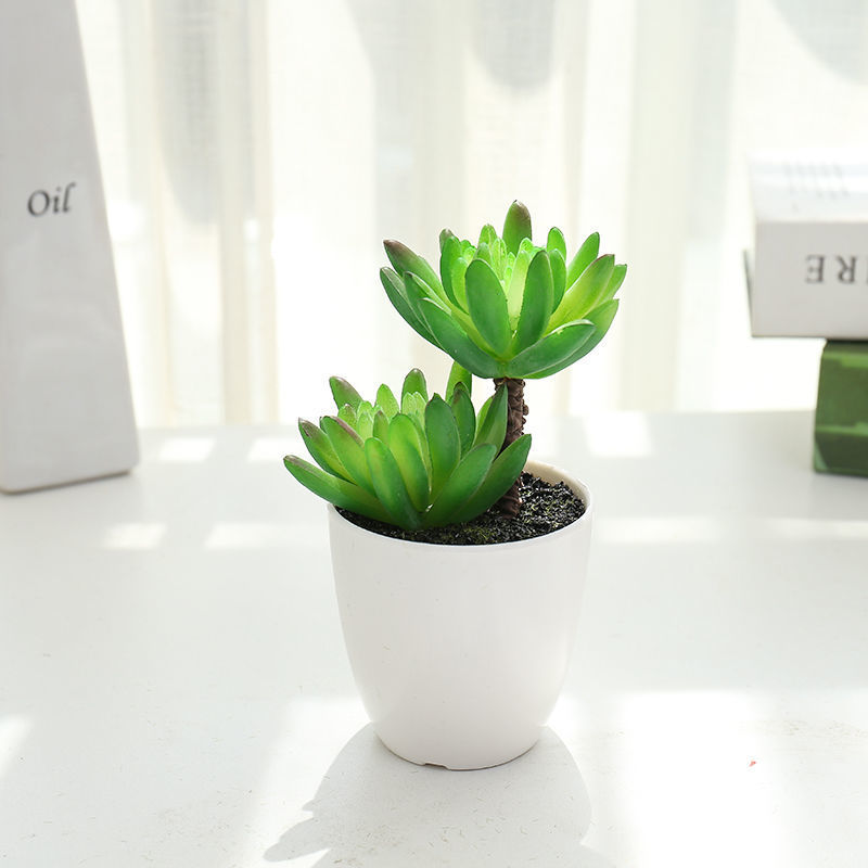 仿真多肉假花植物小盆栽绿植仿真植物小花盆景桌面餐厅摆件仿真花