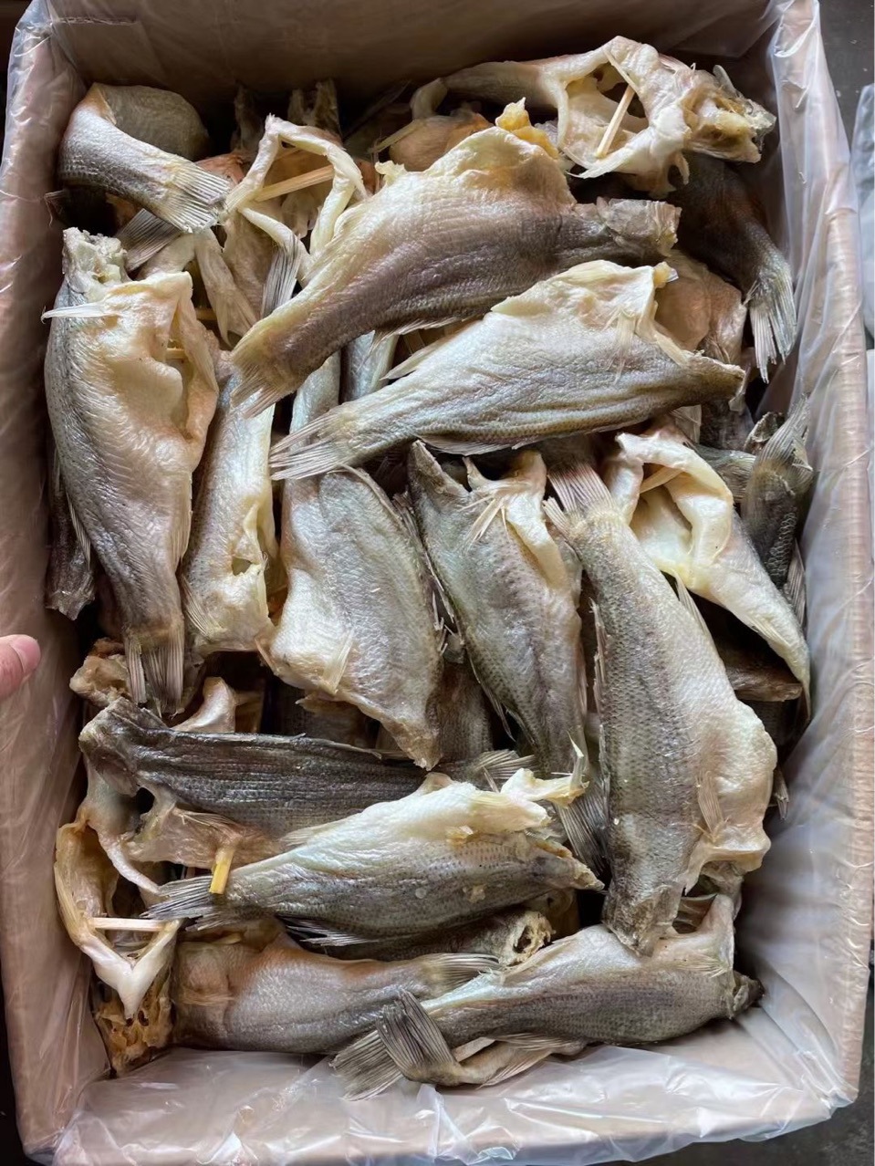 鱼干 鲈鱼 加州卢鱼 淡口 咸鱼 海鲜干货 水产干货批发