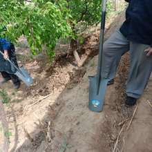 挖树铲子锰钢加厚铁锹树根挖树锹洛阳铲农用挖沟挖土神器园林工具