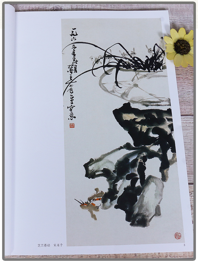 8开正版宋省予林金定写意兰花全彩色国画花卉花鸟画书籍图谱画集