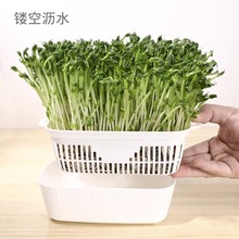 日本进口YAMADA豆苗栽培器绿豆芽小菜无土水培种植托盘培育发芽盆