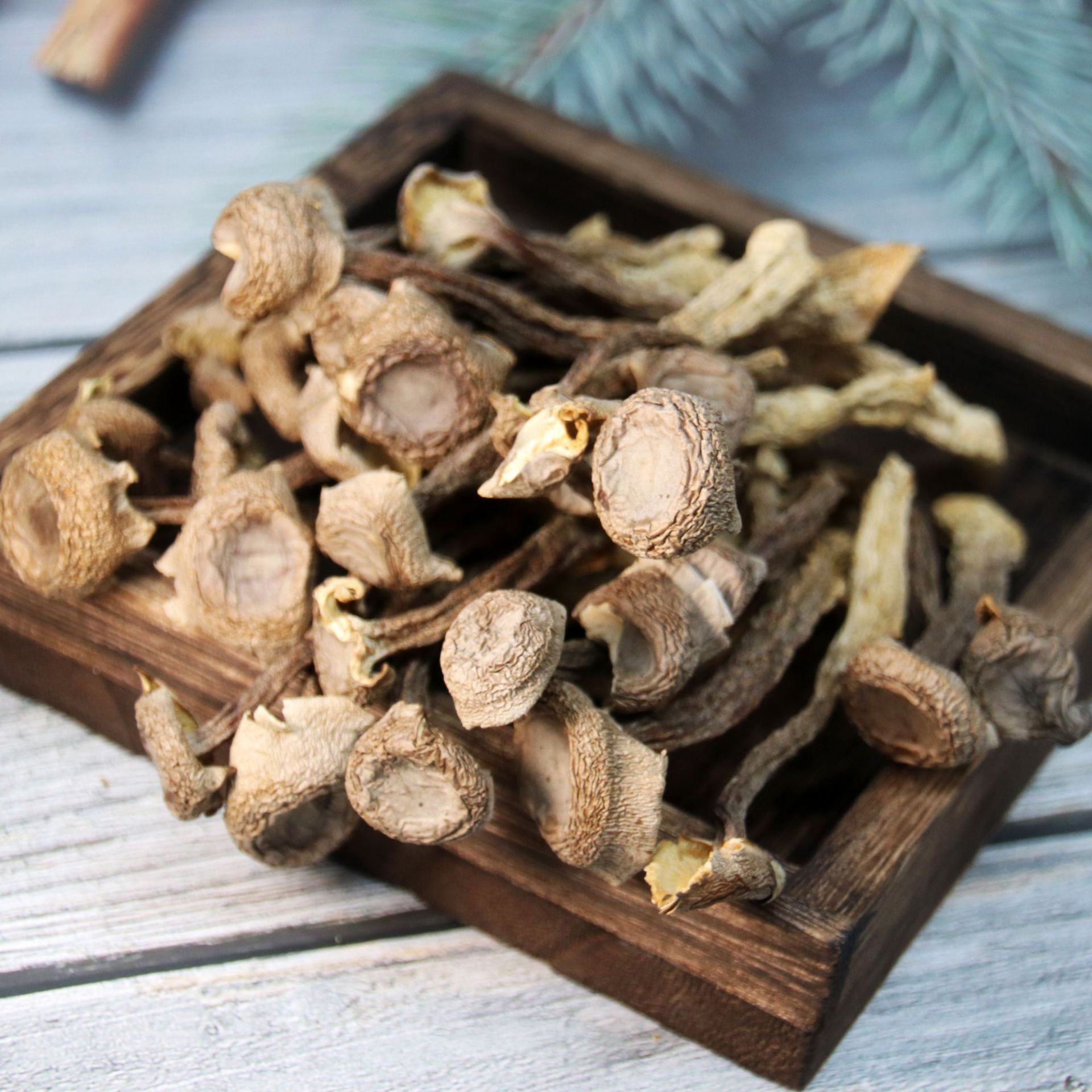 【津鸣】福建古田鹿茸菌干货食用菌 质地细腻,味道鲜美批发