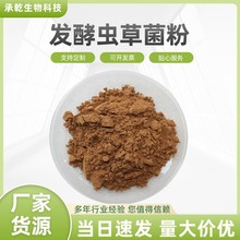 发酵虫草菌粉 虫草菌粉 CS-4 蝙蝠蛾拟青霉菌丝体粉 1Kg包邮