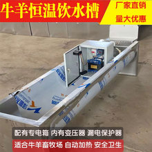 牛羊恒温饮水槽 自动电加热器 不锈钢养殖设备牛槽羊槽防冻不结冰