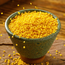 黄小米新米陕北米脂小米粥香糯黏稠五谷杂粮官方旗舰店吃的小黄米