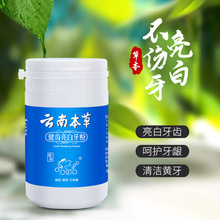 云南本草牙粉珍珠洁牙粉清新口气洗牙粉口腔清洁厂家批发