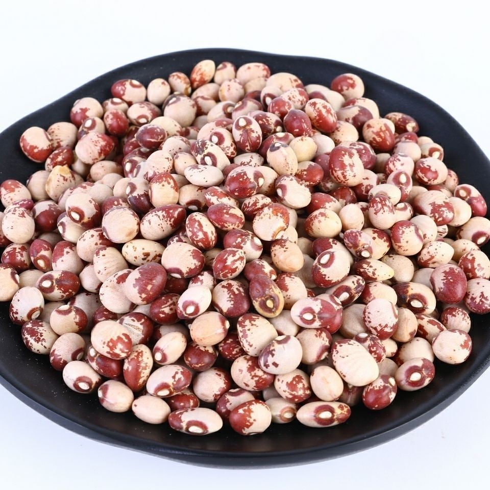 上海有机杂粮-上海有机杂粮厂家,品牌,图片,热帖-阿里巴巴