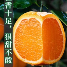 彩箱赣南脐橙甜橙子榨汁橙应当季整箱橙子新鲜水果