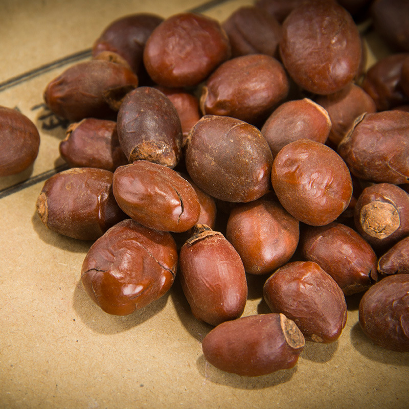 中药材荔枝核中药荔枝籽子500g另有橘核桔核桂圆核木瓜籽-阿里巴巴