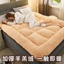 W6RT加厚羊羔绒床垫软垫家用榻榻米宿舍单人学生寝室床海绵床褥垫