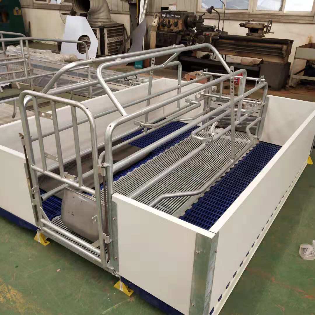 欧式母猪产床双体保育床分娩栏整体热镀锌加厚养猪设备产保两用