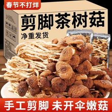 2023云南农家茶树菇干货甄选不开伞切根新鲜茶薪菇香菇蘑菇250g