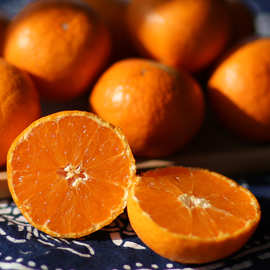 新鲜青皮蜜桔涌泉青蜜现摘涌泉蜜桔当季浙江水果桔子包邮一件代发