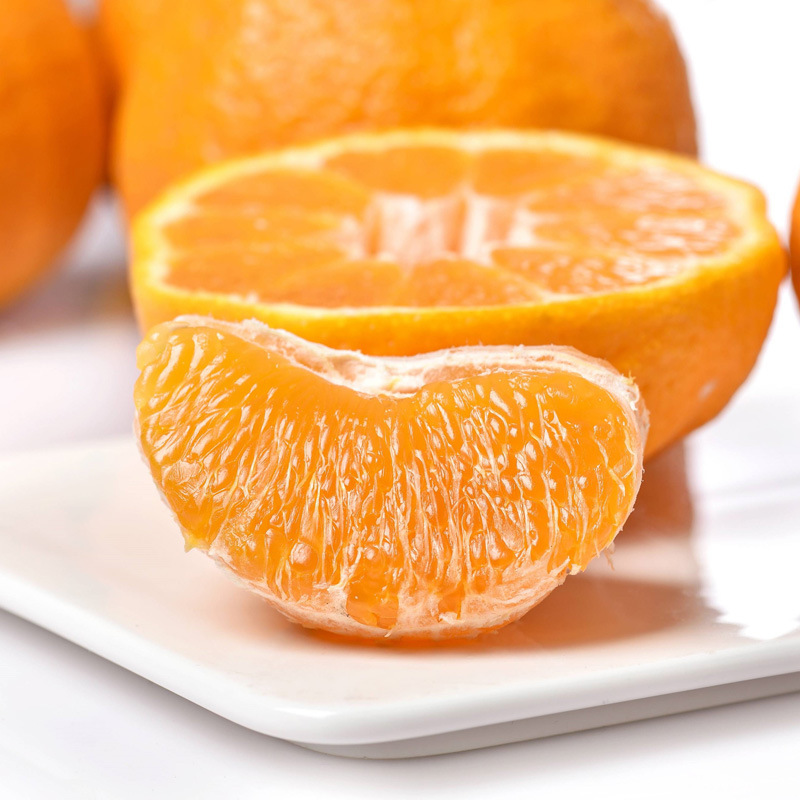 正宗四川眉山春见耙耙柑橘子新鲜当季水果农产品桔子整箱丑橘