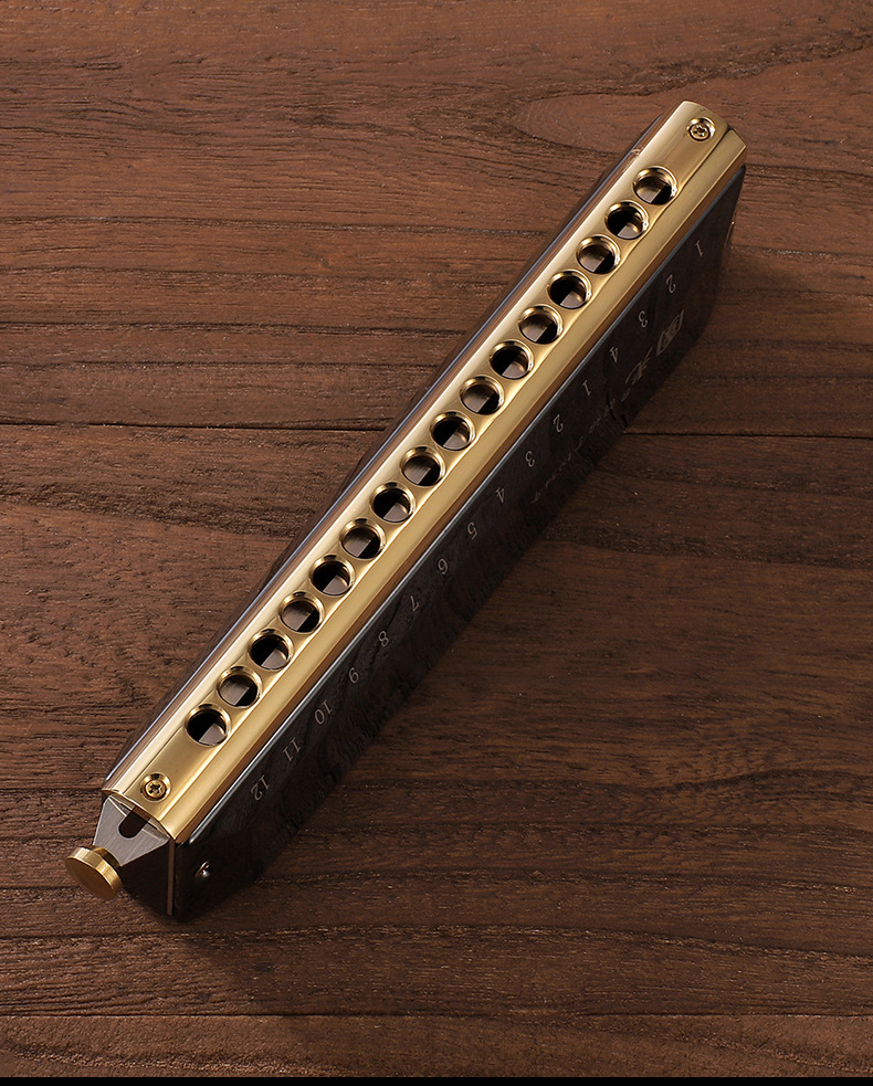 国光国之梦半音阶口琴12孔16孔成人专业演奏级学生初学者自学入门
