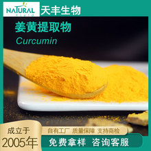 天丰生物 姜黄提取物 原料现货 姜黄根提取物 Curcumin 姜黄素98%