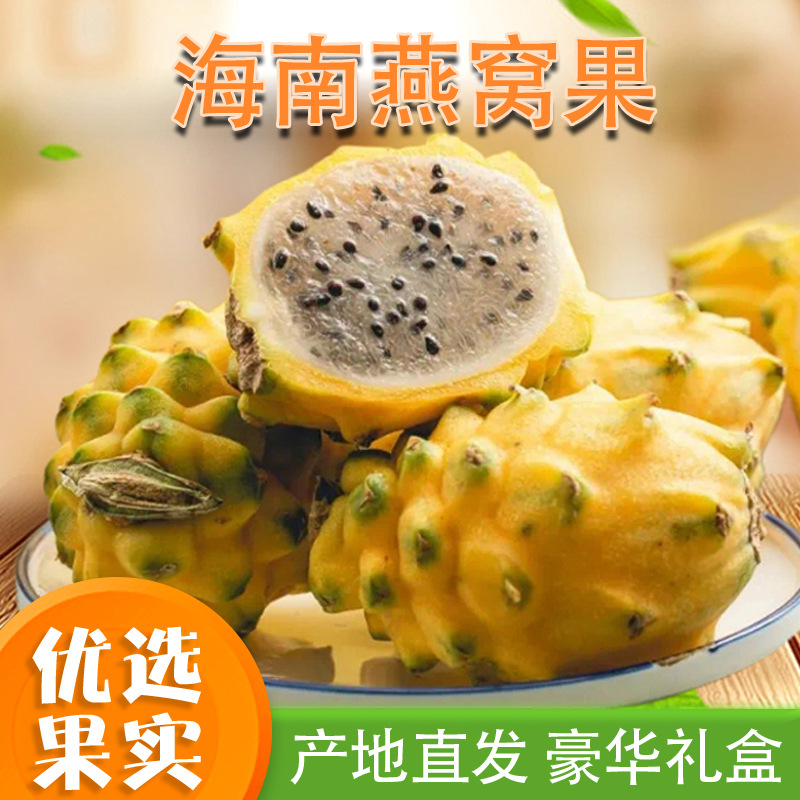 海南燕窝果稀有当季新鲜麒麟果黄色黄金水果甜糯多汁非黄皮火龙果