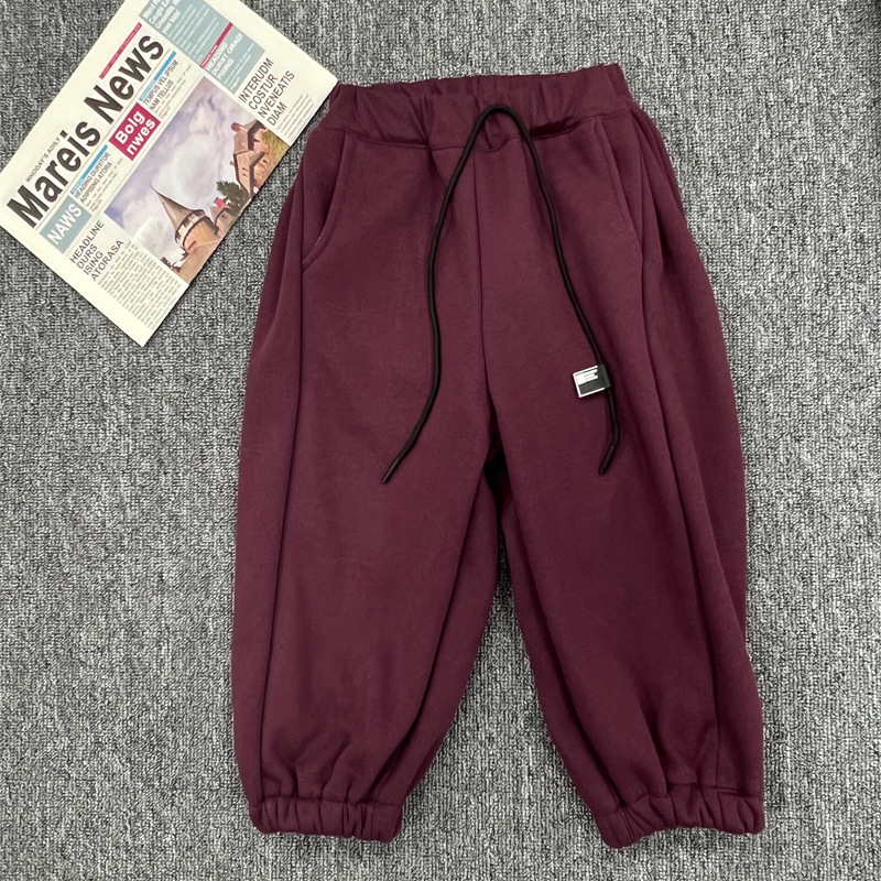 Boys' Pants Autumn and Winter Korean Style Children's Clothing Children's Velvet Pants 2023 New Winter Clothes Baby Thick Loose Sweatpants