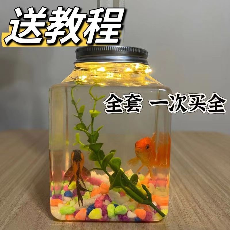 Stall New Project Fantastic Stall Machine Internet Celebrity Luminous Cans Fish Park Square Night Market Hot Sale Hot Sale Small Goldfish