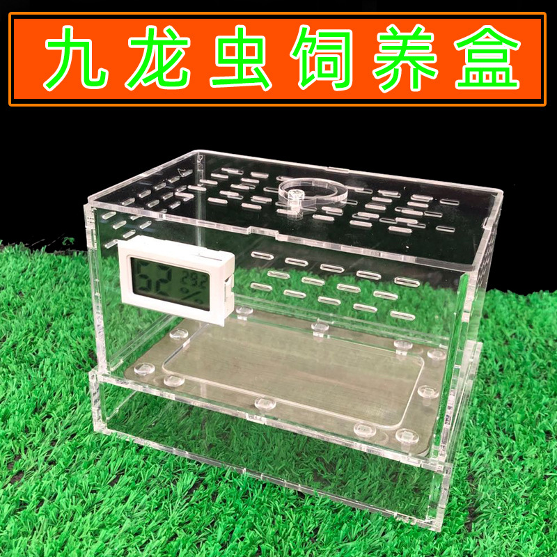 养九龙虫的盒子筛网盒养殖箱繁殖盒幼虫黄粉虫粪便分离专业-阿里巴巴