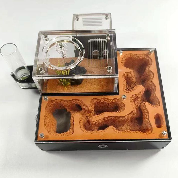 蚂蚁饲养缸城堡可无限扩展拼接宠物蚂蚁新型生态蚁巢工坊跨境专供