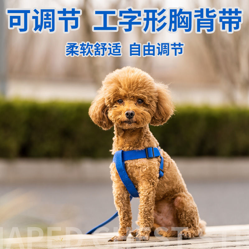 可伸缩遛狗牵引绳可调节狗狗胸背带夏季狗绳牵引绳狗链-阿里巴巴