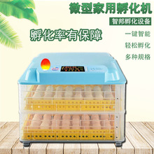 花篮式蛋槽结构孵化箱鸡苗家用小型孵蛋器智能全自动鸭鹅鸽孵化器