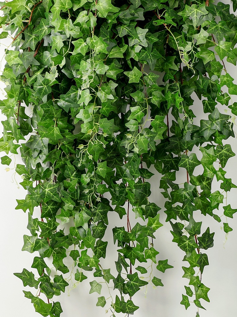 长春藤假花藤条装饰遮挡挂墙绿植壁挂植物吊兰藤蔓绿叶垂吊-阿里巴巴