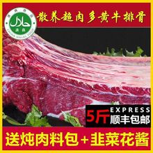 清真多肉牛丸/肉串块肉厚骨小肥瘦适中新鲜牛肋排骨黄标牛丸/肉串