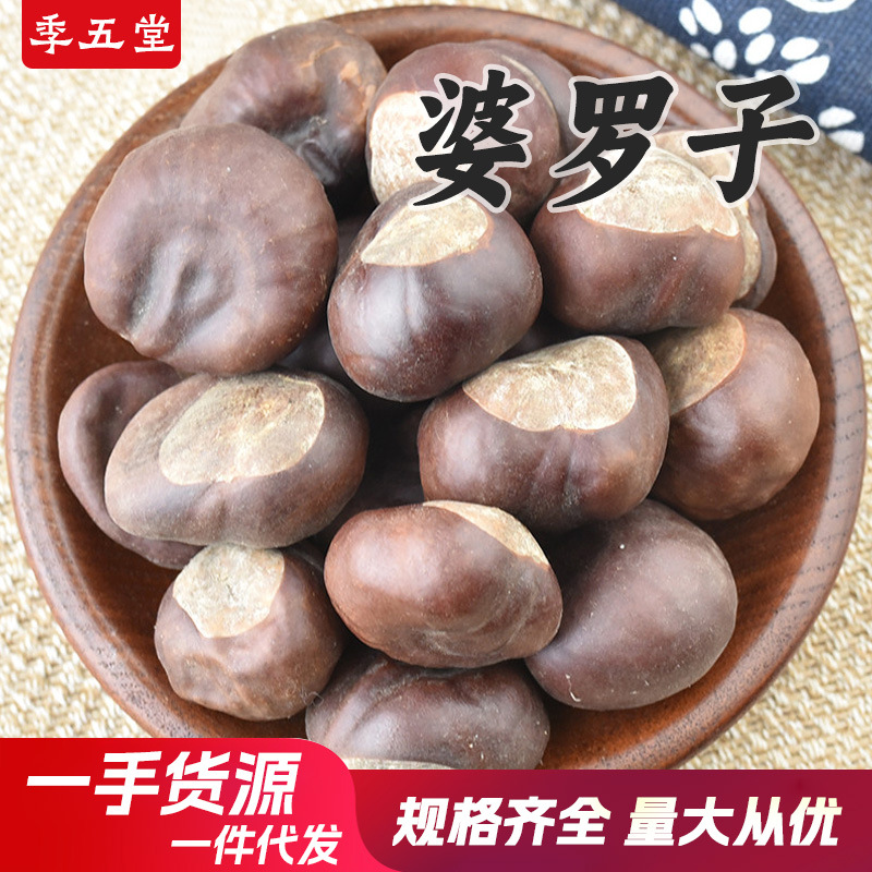 婆罗子冷背中药材500克娑罗子产地货源梭罗子现货批发支持代发