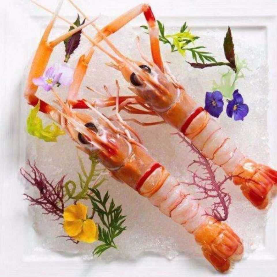 新鲜野生海鳌虾刺身深海小龙虾铁甲虾 海捕鳌虾海鲜 非新西兰鳌虾