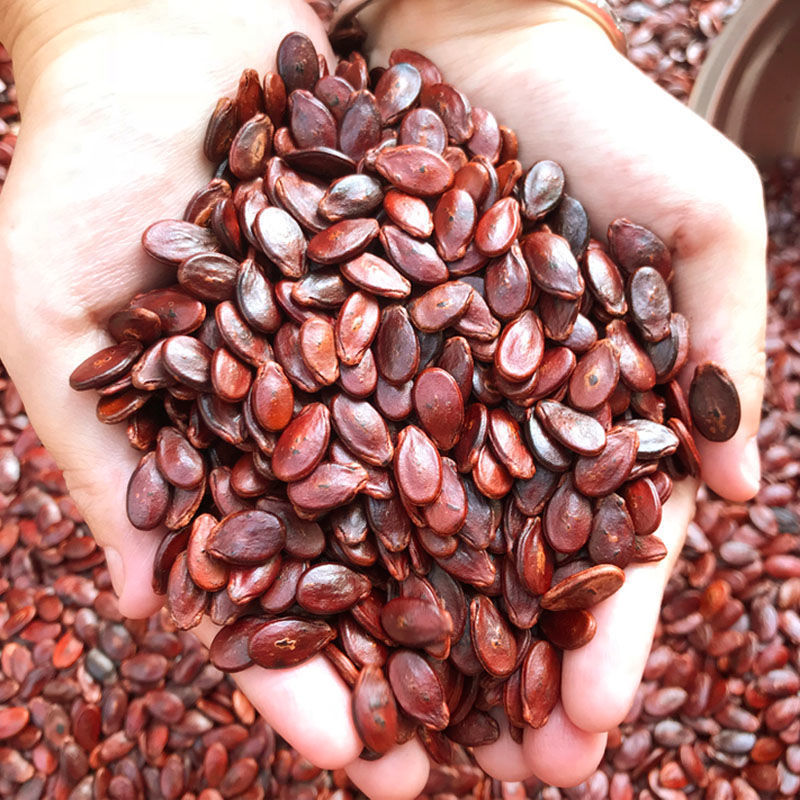 江西赣南手工炒熟水煮蒸汽盐西瓜子原味五香信丰红瓜子炒货特产