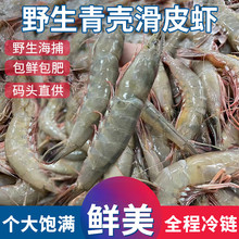 舟山海鲜新鲜野生滑皮虾东海水产冰鲜深海活皮虾对虾青壳虾速冻