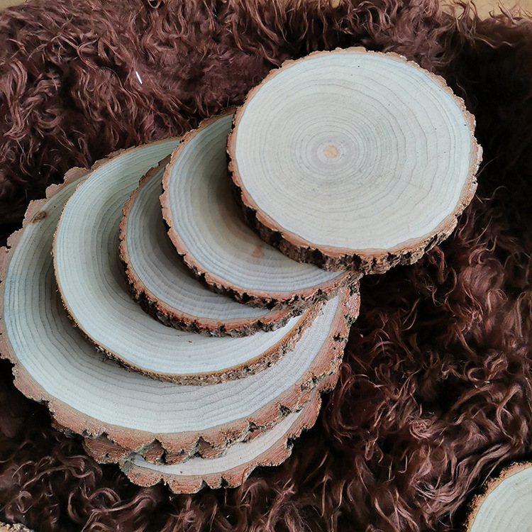 香樟圆木片 木桩年轮片 香樟木年轮片 切片zakka diy 香樟木 切片