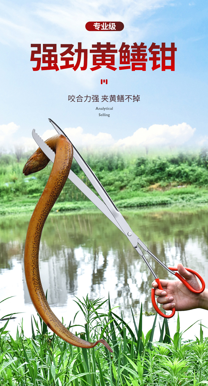 黄鳝夹鳝鱼钳抓鱼泥鳅螃蟹夹子钳子防滑捉控工具加长赶海