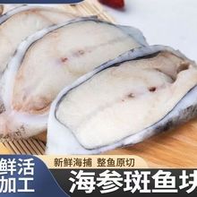 海南西沙深海纯天然海捕红东星斑鱼新鲜活速冻红星石